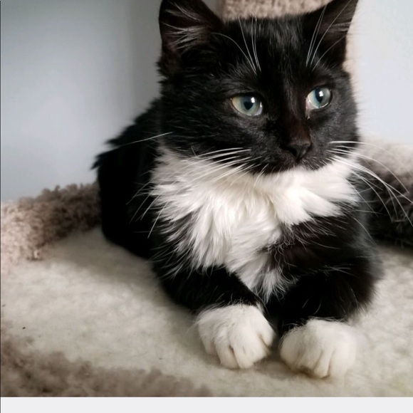 Meet your Posher, Jasminka - Picture 1 of 1